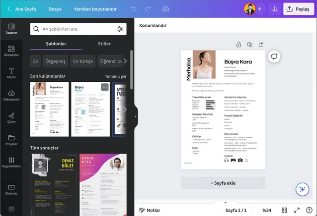 Free CV Yapan Site